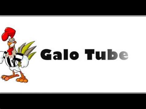 tube galo|Popular videos .